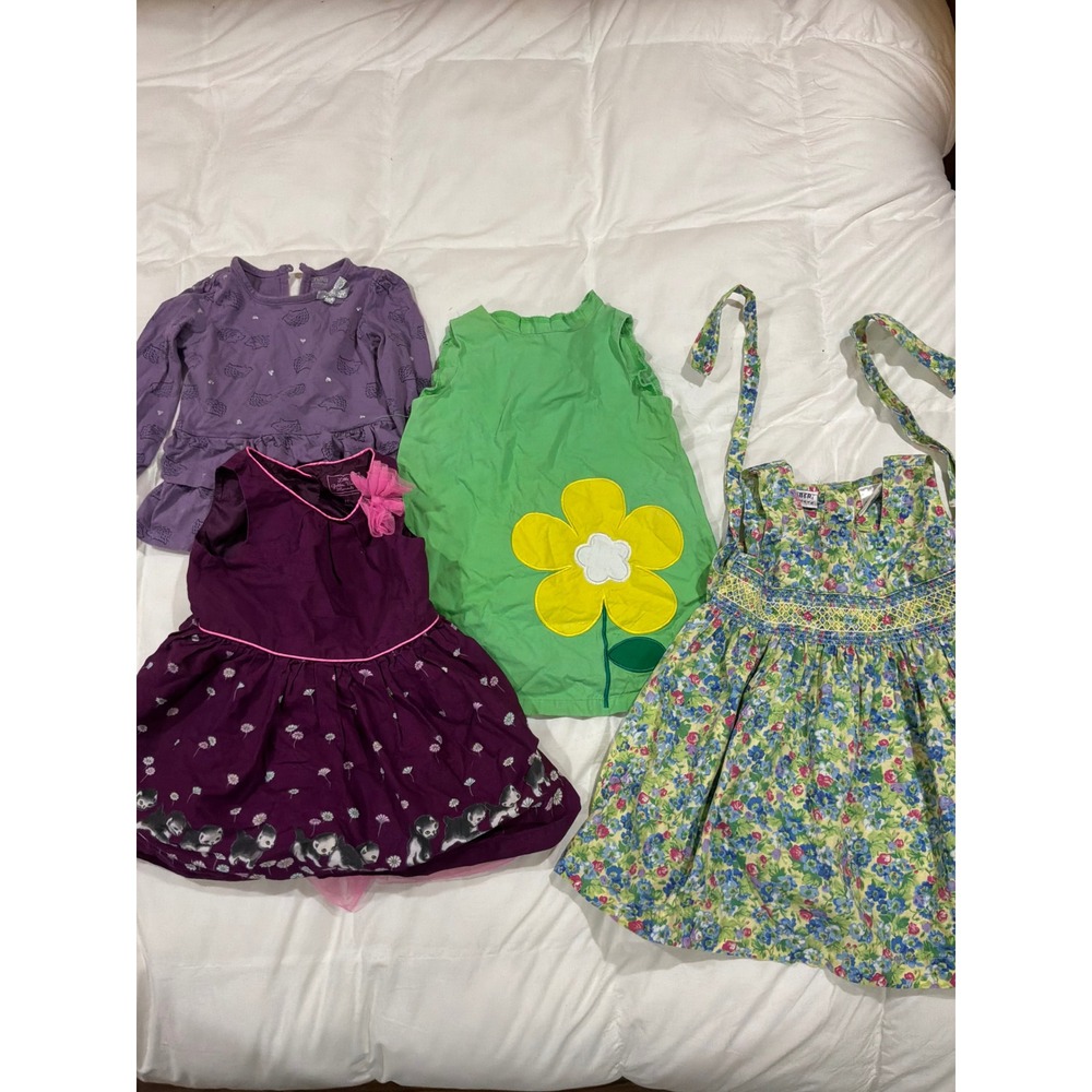 Mixed Brand Toddler Girl Dresses Top Bundle 2T 24M Purple Green Floral 4pc